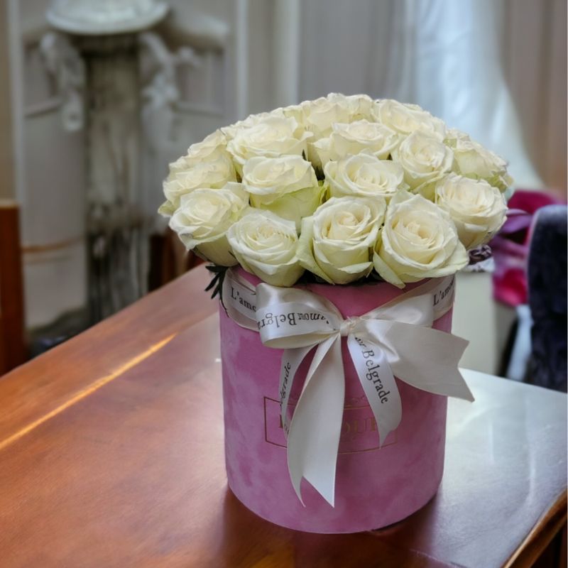 Roze plišana kutija sa 19 belih ruža